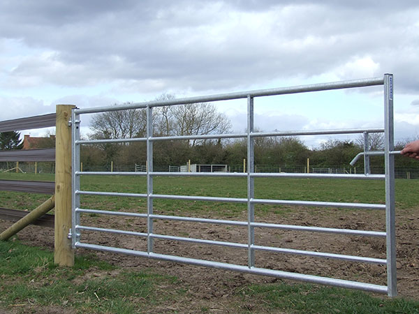 Metal Field Gates (Standard 7 Rail) Ashbourne - Clarke Fencing